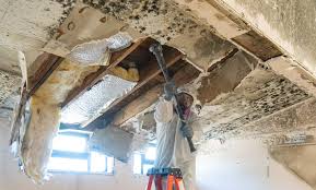 Best Basement Mold Removal  in Irwindale, CA